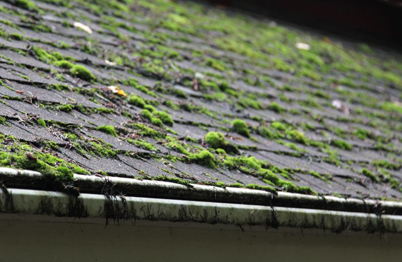 How Roof Cleaning Helps Prevent Mold, Algae, And Moss Growth
