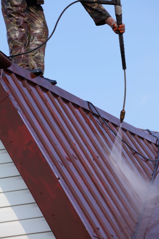 Metal Roof Cleaning