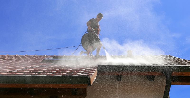 Roof Cleaning Specialists